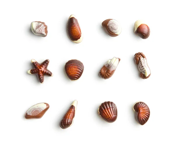 Sweet chocolate seashells. — Stock Photo, Image