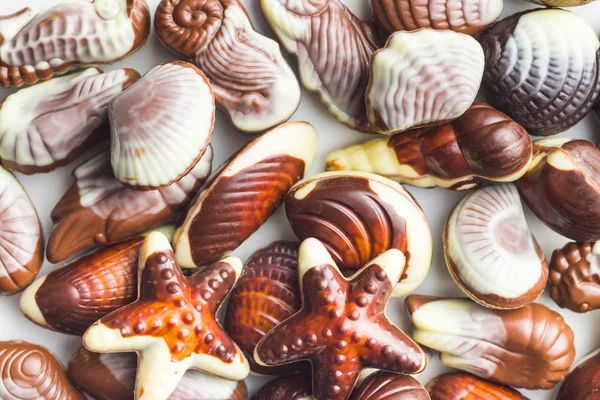 Sweet chocolate seashells. — Stock Photo, Image