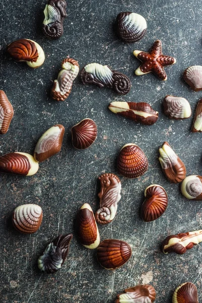 Sweet chocolate seashells. — Stock Photo, Image