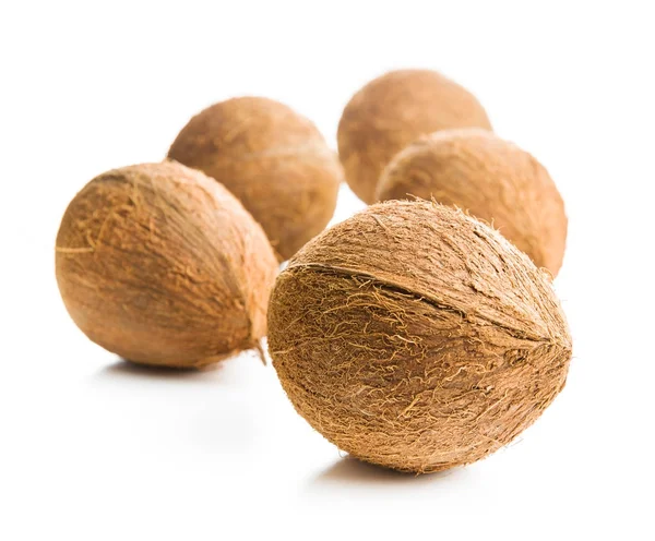 Hela kokosnötter. — Stockfoto