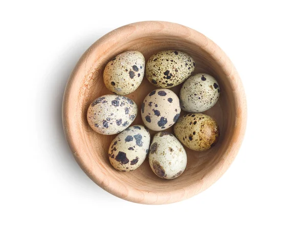 Fresh guail eggs. — Stock Photo, Image
