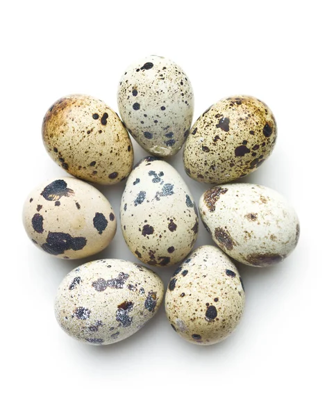 신선한 guail 계란. — 스톡 사진