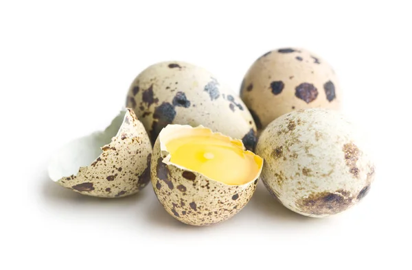 Verse guail eieren. — Stockfoto