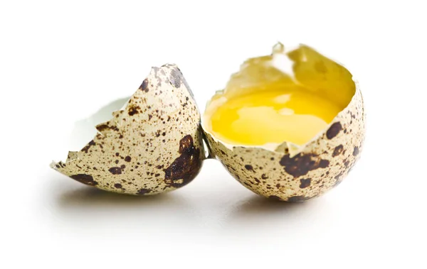 Čerstvé guail vejce. — Stock fotografie
