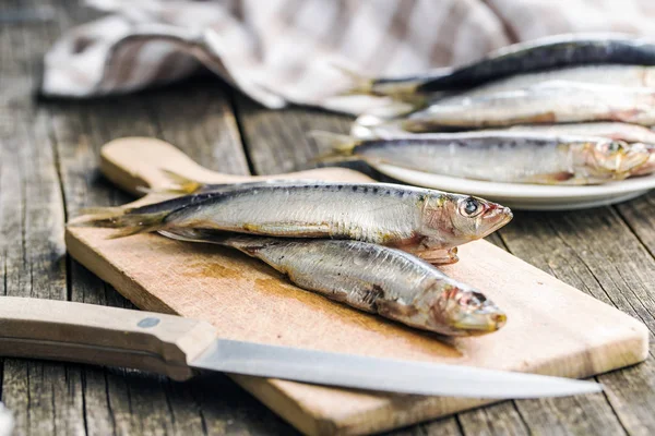 Rauwe vis van Sardines. — Stockfoto