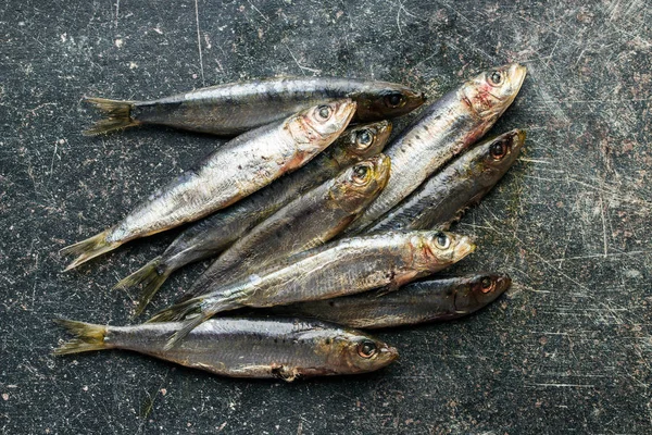 Pescado crudo de sardinas . — Foto de Stock