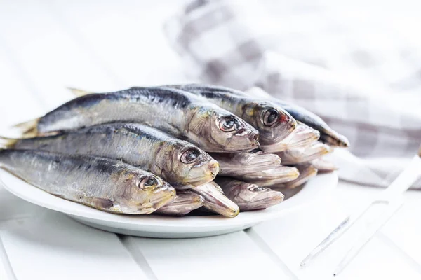 Syrové ryby sardinky. — Stock fotografie