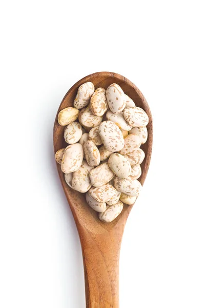 Sušené fazole Borlotti. — Stock fotografie