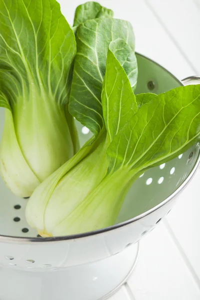 Frischer Pak Choi Kohl — Stockfoto