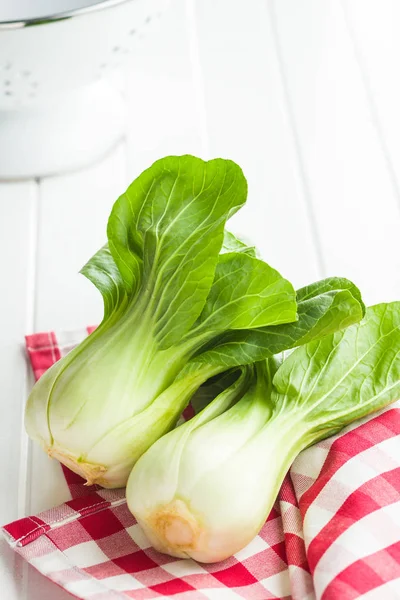 新鲜的青菜白菜 — 图库照片