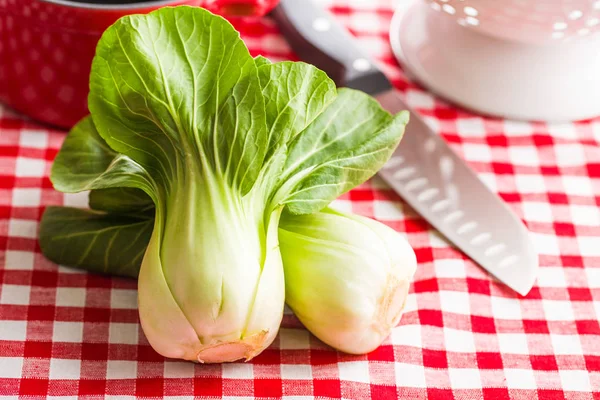 Repolho de Pak choi fresco . — Fotografia de Stock