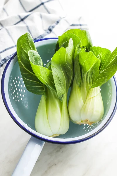 Repolho de Pak choi fresco . — Fotografia de Stock