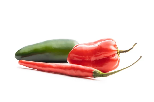 Horké jalapeno, habanero a chilli papričky. — Stock fotografie