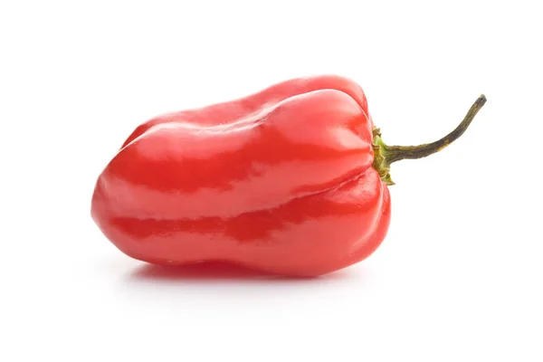 Горячий перец хабанеро . — стоковое фото