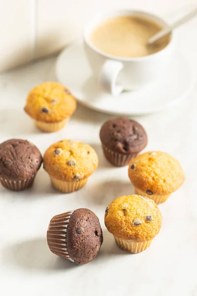 Dulces magdalenas. Pastelitos de chocolate . — Foto de Stock