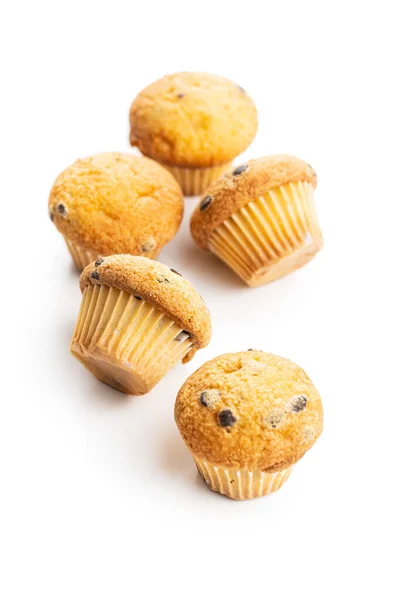 Süße Muffins. Cupcakes mit Schokolade. — Stockfoto
