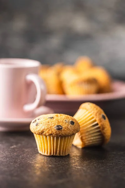 Sabrosas magdalenas de chocolate. Pastelitos dulces . —  Fotos de Stock