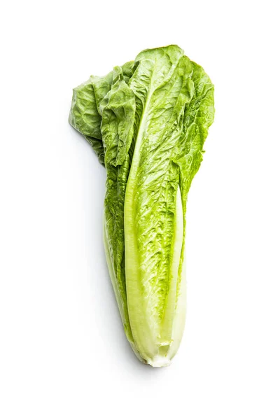 Verse Groene Romaine Sla Bladeren Van Lactuca Sativa Geïsoleerd Witte — Stockfoto