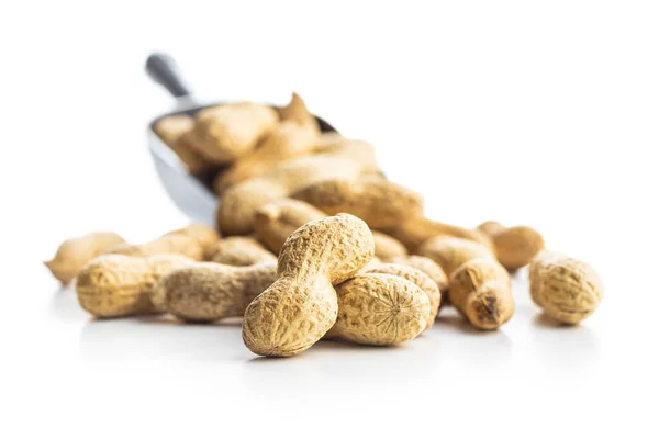 Cacahuetes Sabrosos Sin Pelar Aislados Sobre Fondo Blanco —  Fotos de Stock