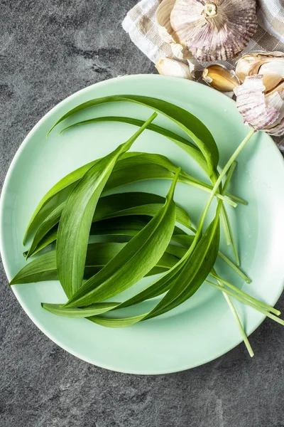 Groene Wilde Knoflookbladeren Groene Plaat Bovenaanzicht — Stockfoto