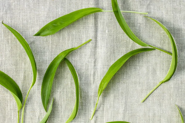 Grüne Bärlauchblätter Auf Der Tischdecke Ansicht Von Oben — Stockfoto