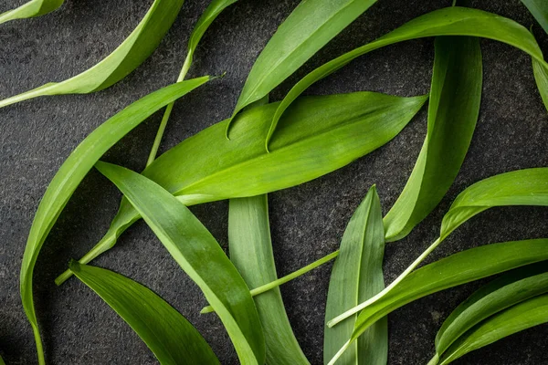 Foglie Verdi Aglio Selvatico Ramsons Sul Tavolo Nero Vista Dall — Foto Stock