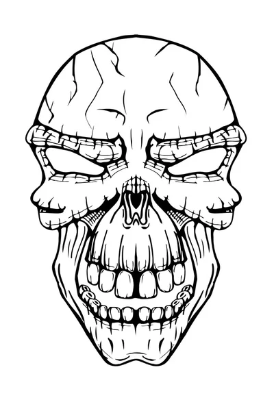 La imagen del cráneo . — Vector de stock