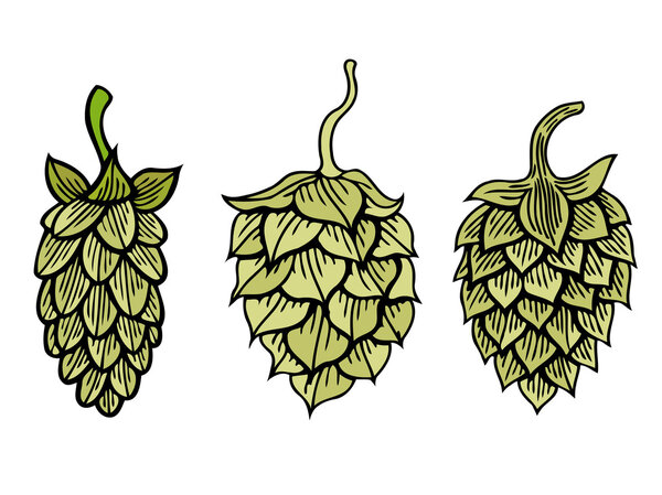 Хмелевые травы
