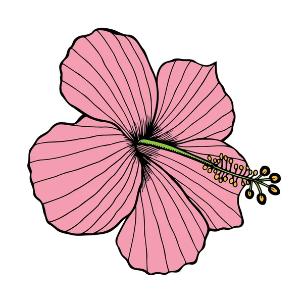 Flor dibujada a mano — Vector de stock