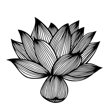 Güzel, yalnız çiçek