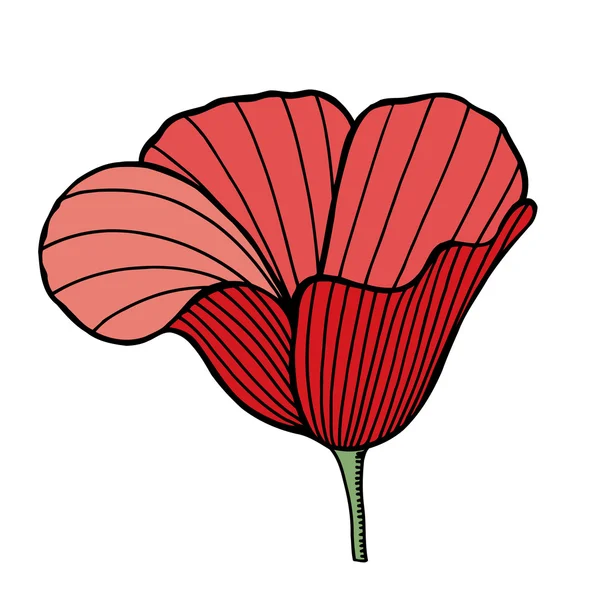Květ červený mák — Stockový vektor