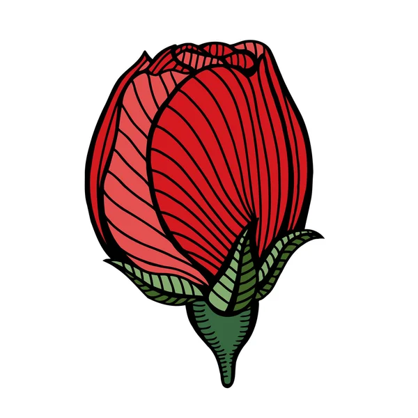 Vektorové kreslení růže — Stockový vektor