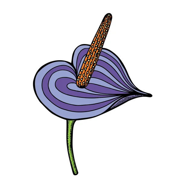 Belle fleur isolée — Image vectorielle