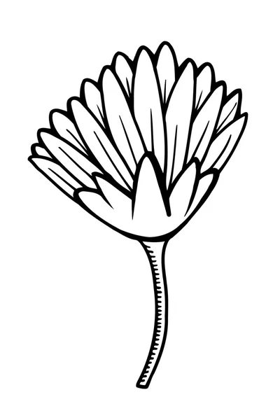 Belle fleur isolée — Image vectorielle