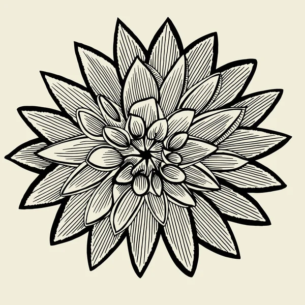 Croquis fleur dessinée à la main — Image vectorielle