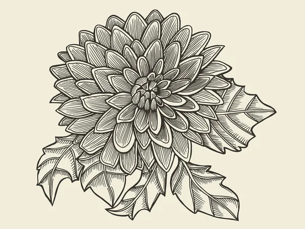 Croquis fleur dessinée à la main — Image vectorielle