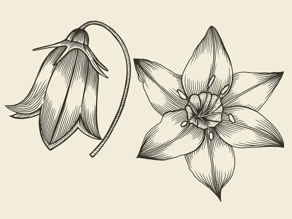 Квіти - ручна намальована колекція — стоковий вектор