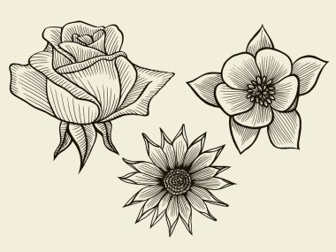 Elle çizilmiş kroki çiçekler