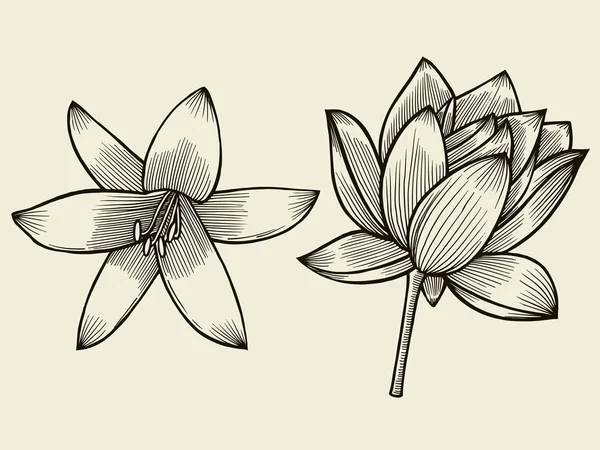 Ručně tažené skica květ — Stockový vektor