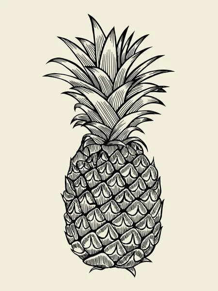 Pineapple vector Illustration — Stock Vector