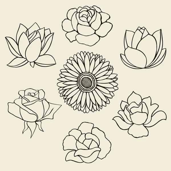 Dibujo dibujado a mano flores — Archivo Imágenes Vectoriales