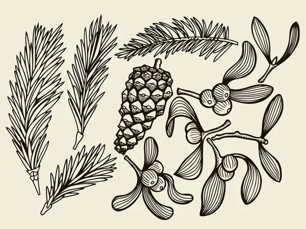Set de vectores con plantas navideñas . — Archivo Imágenes Vectoriales
