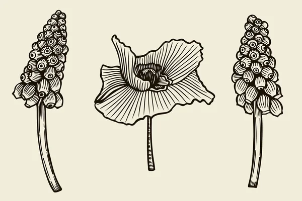 Flores dibujadas a mano — Vector de stock