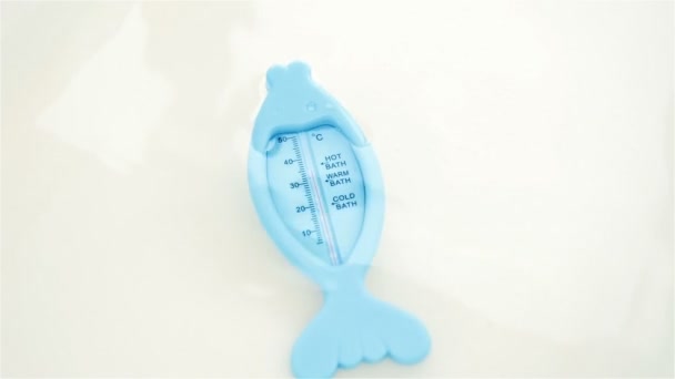 Thermometer in het water — Stockvideo