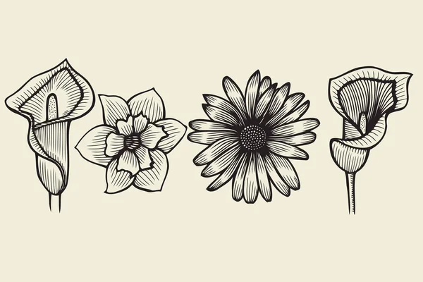 Fleurs - collection dessinée à la main — Image vectorielle