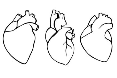 İnsan kalpleri bir dizi