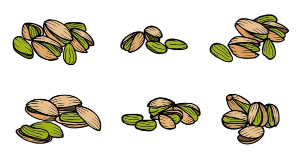 Frutos secos y granos de pistacho . — Vector de stock