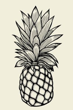 ananas vektör illüstrasyonu