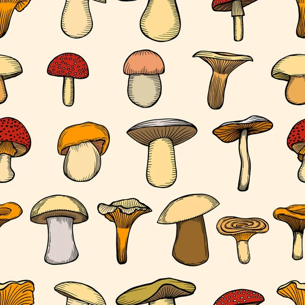 Vektorillustration med porcini mönster — Stock vektor