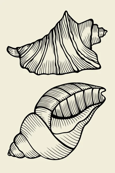 ベクトル ビンテージ貝殻のセット — ストックベクタ